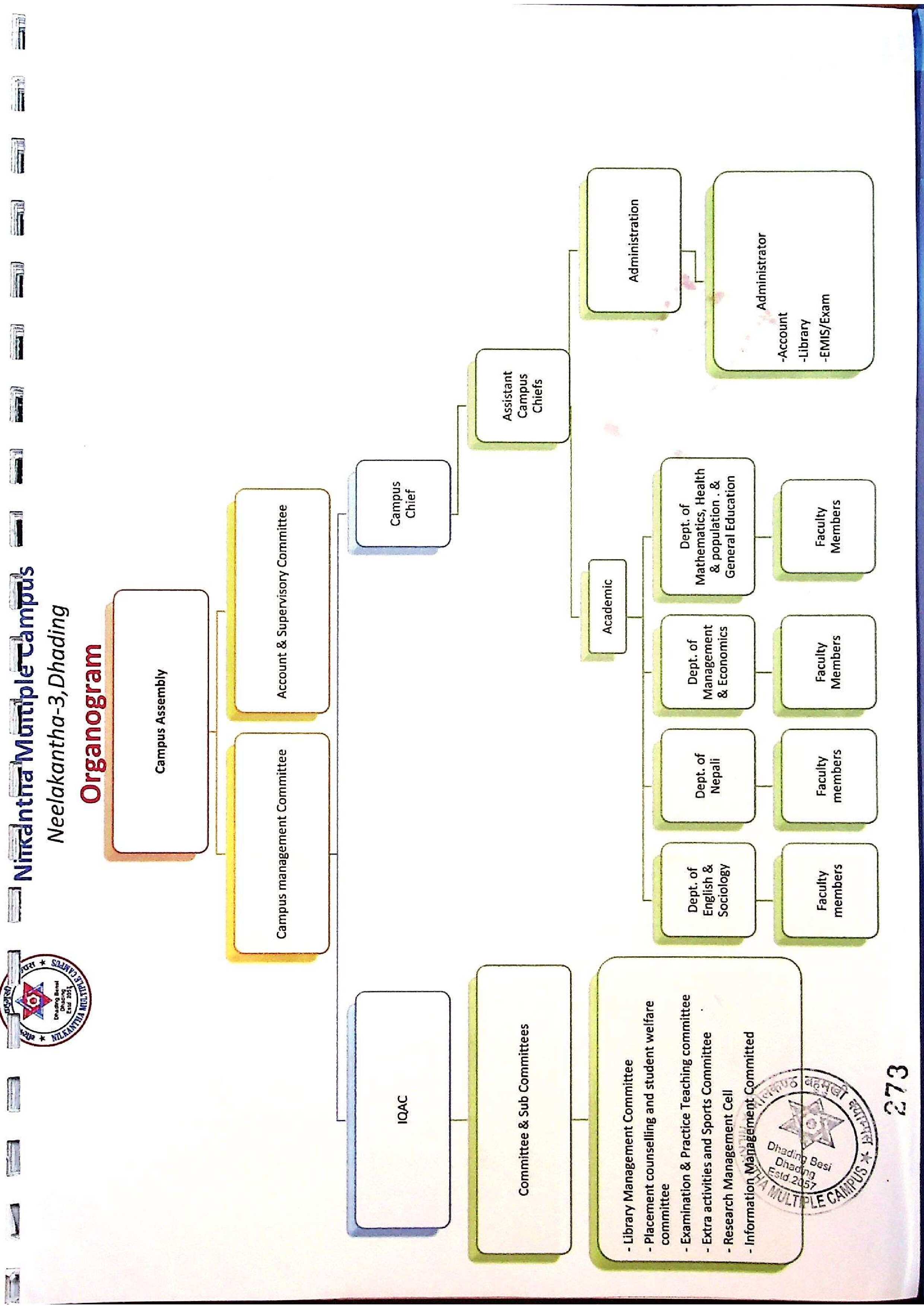 Organization structure